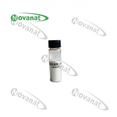 Pasteurized Akkermansia Muciniphila AKK016  AKK / Postbiotics