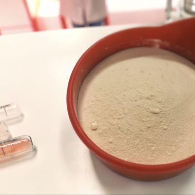Pasteurized Parabacteroides Distasonis PD001 / Postbiotics / Off White To Gray Powder Used In Animal Foods/Best Quality Product