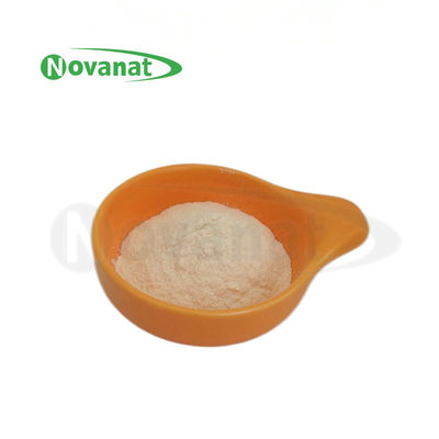 Pediococcus Acidilactici PA10 500billion CFU/g Probiotics Powder Vegan/Allergen Free/Gluten Free/Dairy Free