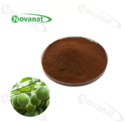 Luo Han Guo Extract 2/1 / Monk Fruit Extract Powder Mogrosides V 25% / 50% / Natural Sweetener