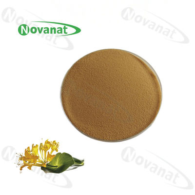 Honey Suckle Flower Extract Herbal Extract Powder 2%-4% Chlorogenic Acid / Lonicera Japonica Thunb Extract