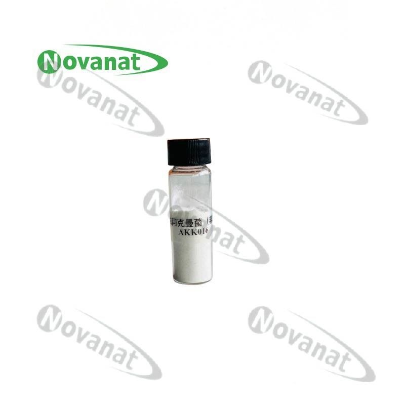 Pasteurized Akkermansia Muciniphila AKK016  AKK / Postbiotics