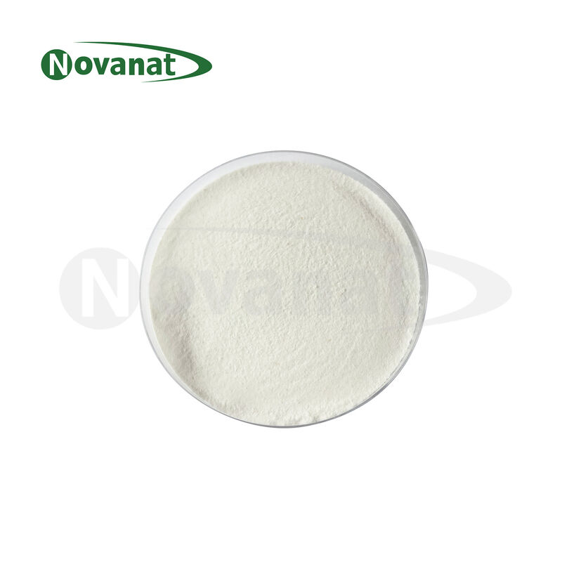 Pasteurized Pediococcus pentosaceus PP09 Postbiotics Powder Vegan/Allergen Free/Gluten Free/Dairy Free