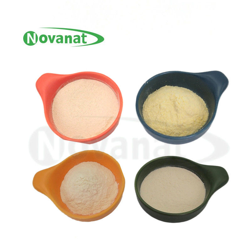 Lactiplantibacillus plantarum LP-Onlly Probiotics Powder Vegan / Free (Allergen/Gluten/Dairy)