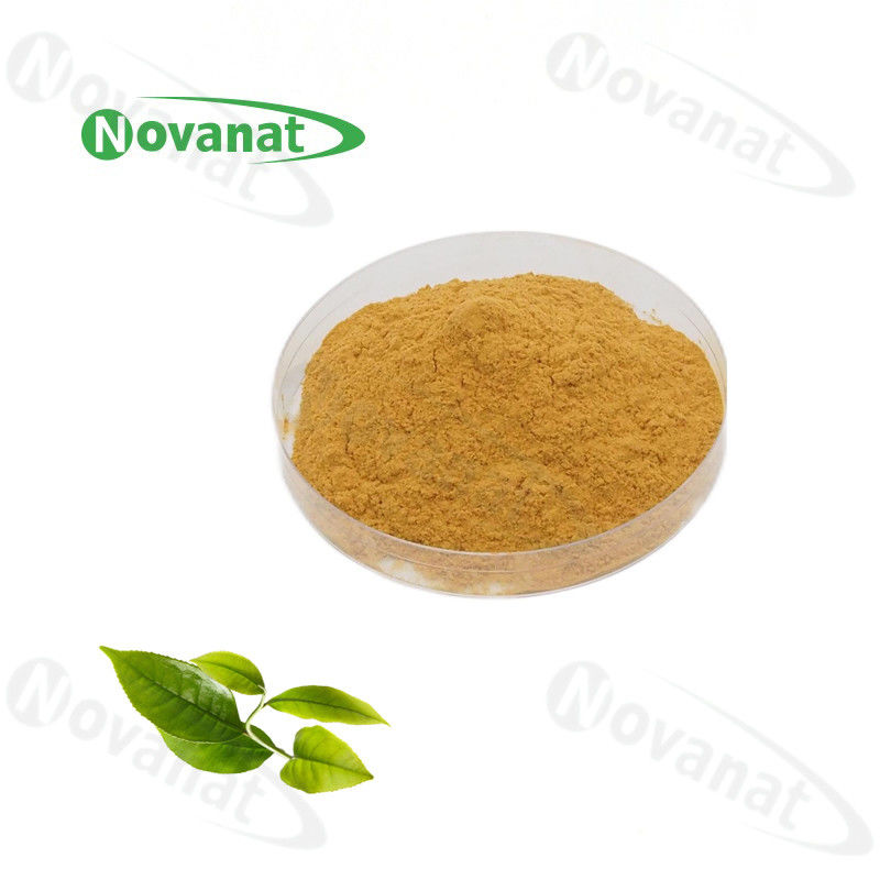Camellia Sinensis Instant Green Tea Powder Extract 20% -50% Polyphenols / Food Beverage