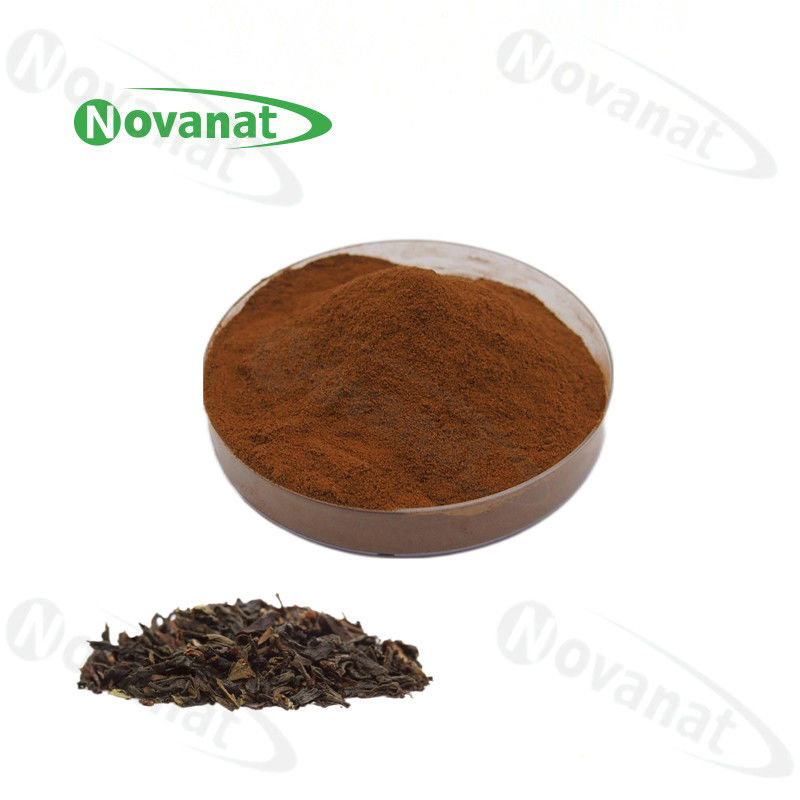 Water Soluble Instant Black Tea Extract Powder 15%-35% Polyphenols / Clean Label