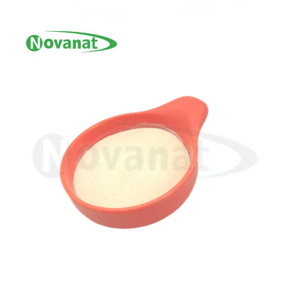 ผ่านกระบวนการ Tyndallization / โปรไบโอติกวีแกน Ligilactobacillus salivarius LS86 ปราศจากสารก่อภูมิแพ้/กลูเตน/ผลิตภัณฑ์จากนม